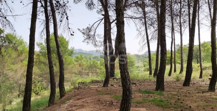 Venta - Finca - Alcoy