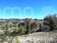 For sale - Rustic Land - Benimarfull