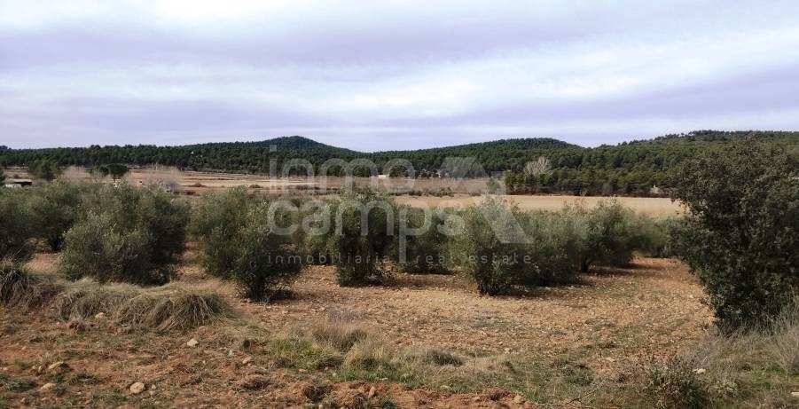 Venta - Finca - Bocairent