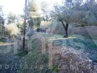 Venta - Casa de Campo - Agres