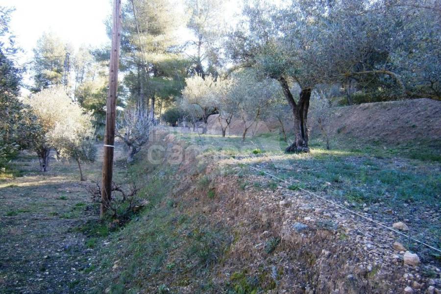 Venta - Casa de Campo - Agres