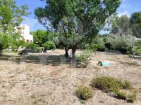 Venta - Casa de Campo - Alcoy