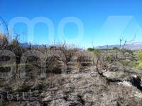 Te koop - Rustiek land - Benillup