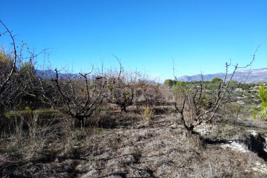 Te koop - Rustiek land - Benillup