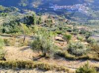 Te koop - Landhuis - Benasau