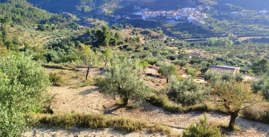 Te koop - Landhuis - Benasau