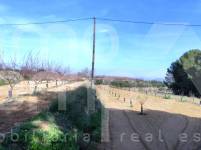 Venta - Finca - Albaida