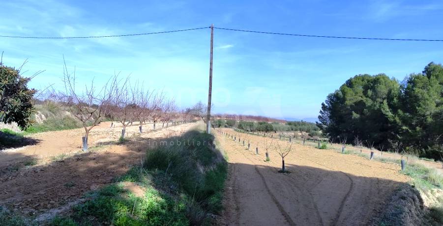 Te koop - Finca - Albaida