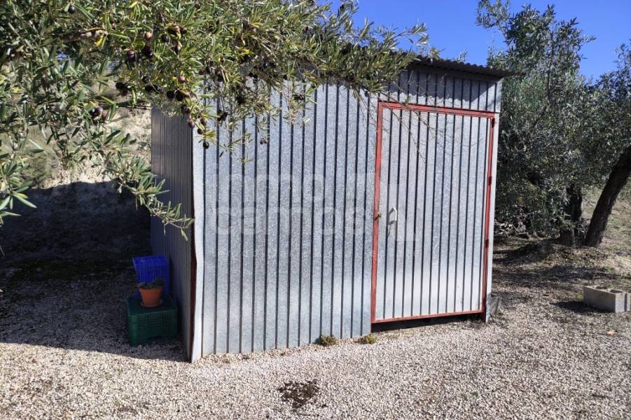 Te koop - Landhuis - Benilloba