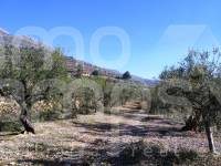 Venta - Casa de Campo - Beniarres