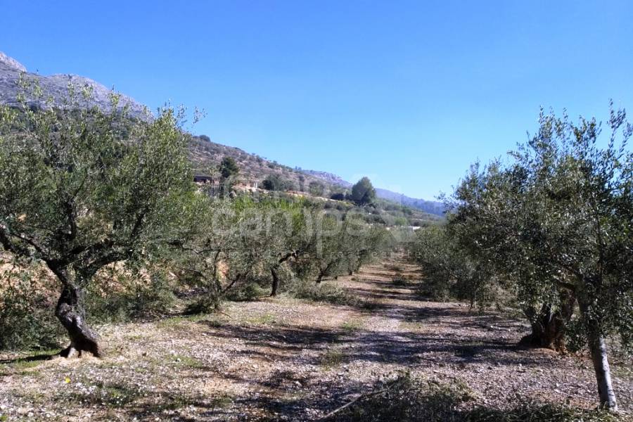 Venta - Casa de Campo - Beniarres