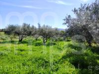 Venta - Casa de Campo - Agullent