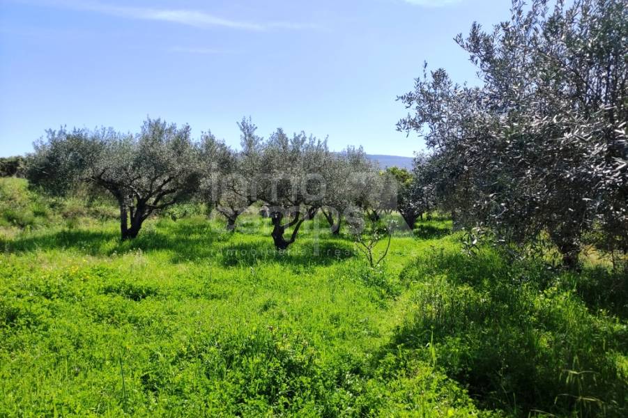 Venta - Casa de Campo - Agullent