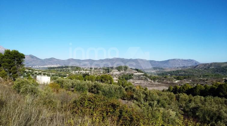 Rustic Land - For sale - Benillup - Benillup