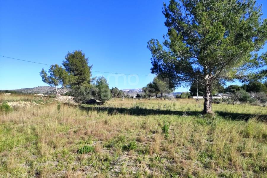 For sale - Rustic Land - Benissa