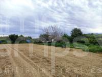 Te koop - Landhuis - Albaida