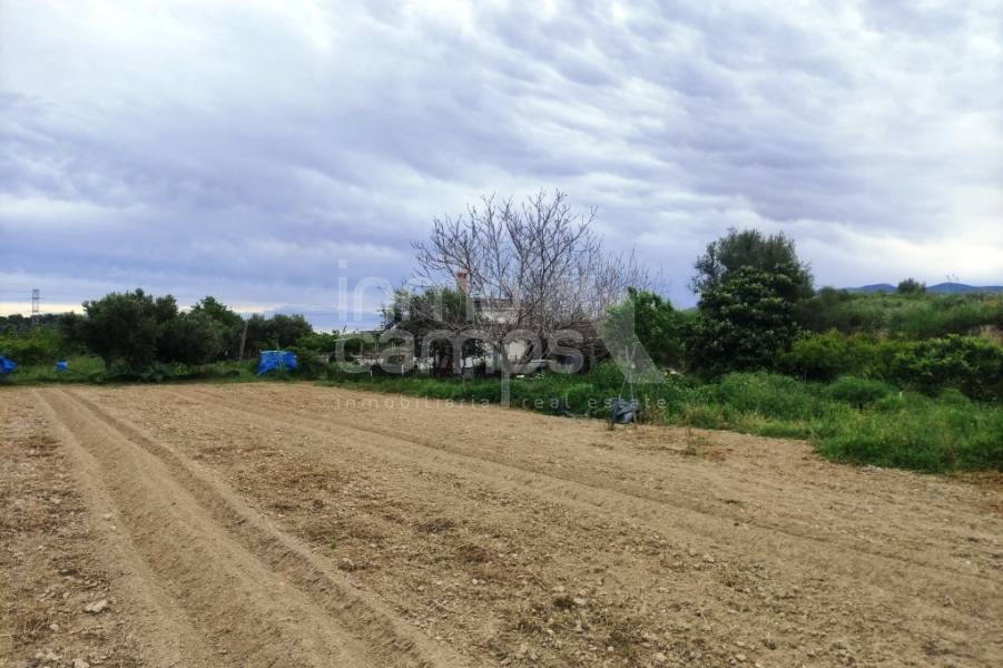 Te koop - Landhuis - Albaida