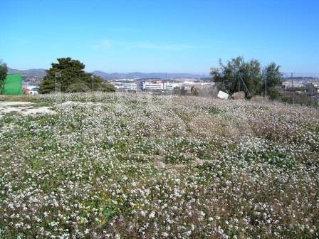 Venta - Casa de Campo - Ontinyent