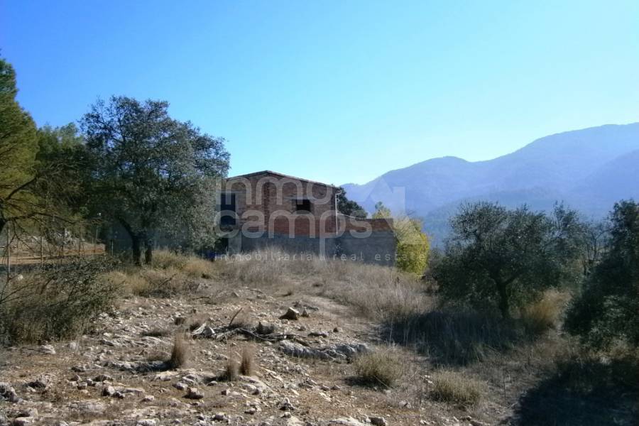 For sale - Finca - Agres