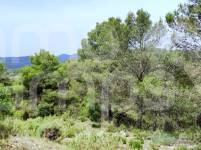 Venta - Finca - Alcoy
