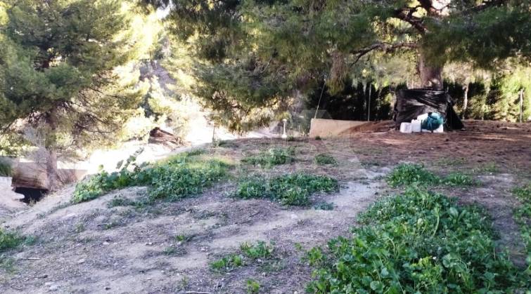 Urban Plot - For sale - Cocentaina - Cocentaina