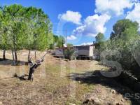 Te koop - Landhuis - Albaida