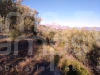 For sale - Rustic Land - Benimarfull