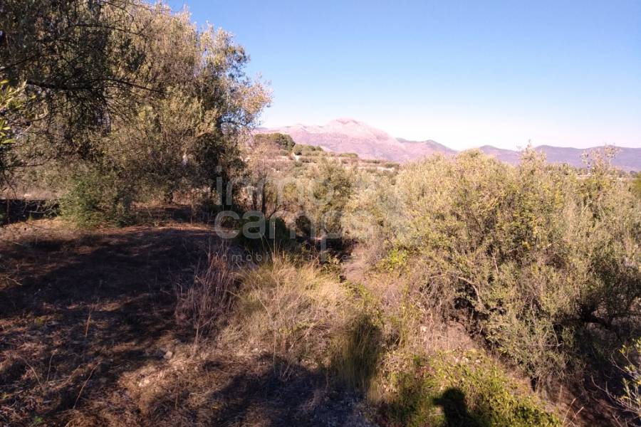 For sale - Rustic Land - Benimarfull