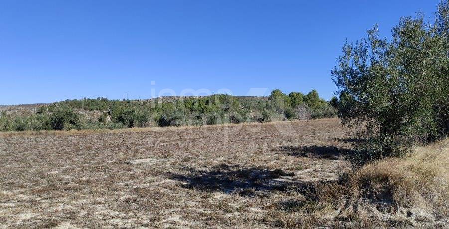 Venta - Finca - Bocairent