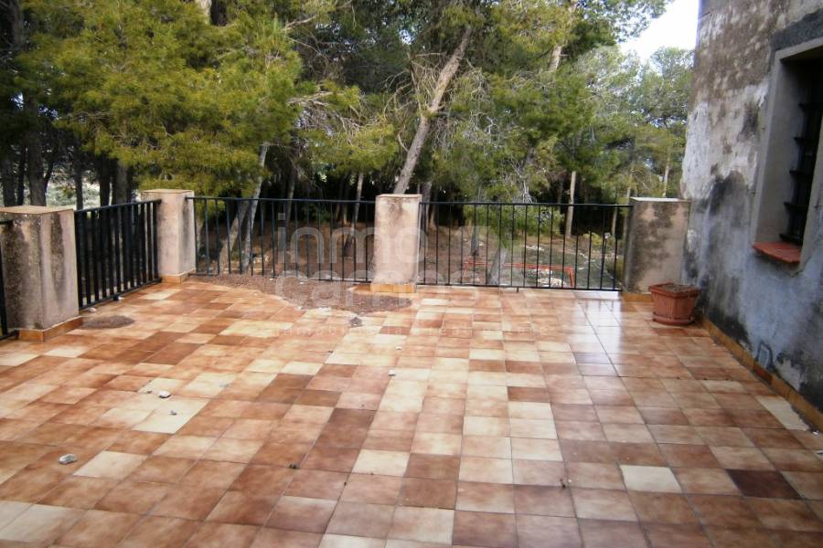Venta - Finca - Ontinyent