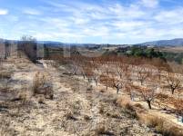 Venta - Parcela Rústica - Bufali