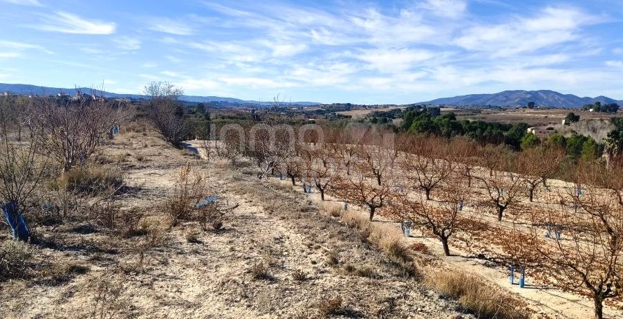 Venta - Parcela Rústica - Bufali