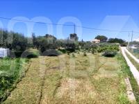 Te koop - Landhuis - Ontinyent