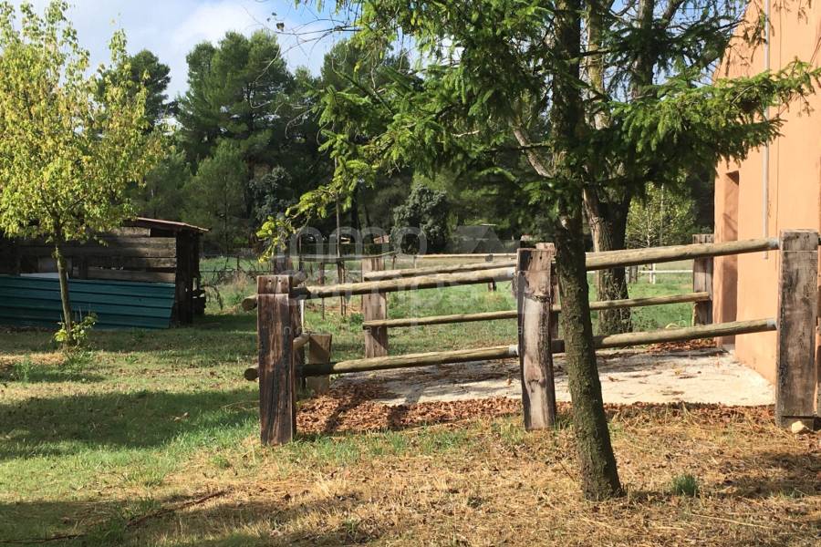 Venta - Finca - Bocairent