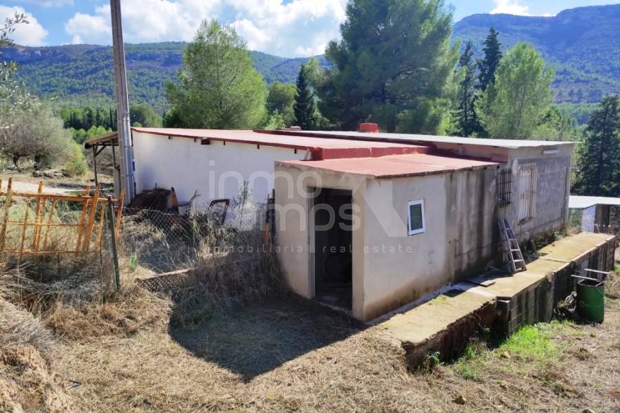 Te koop - Landhuis - Albaida