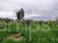 Te koop - Landhuis - Albaida