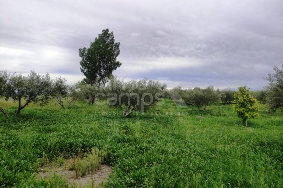 Te koop - Landhuis - Albaida