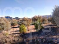 For sale - Rustic Land - Benimarfull