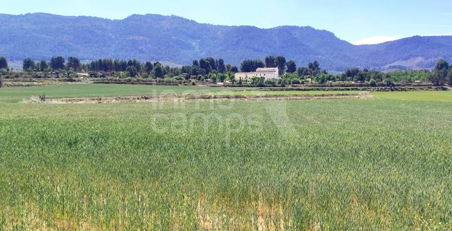 For sale - Rustic Land - Agres