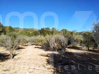 Venta - Casa de Campo - Ontinyent
