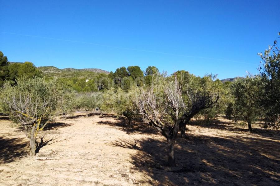 Venta - Casa de Campo - Ontinyent