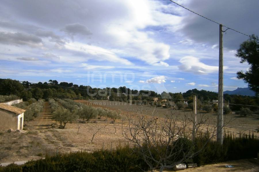 Venta - Casa de Campo - Ontinyent