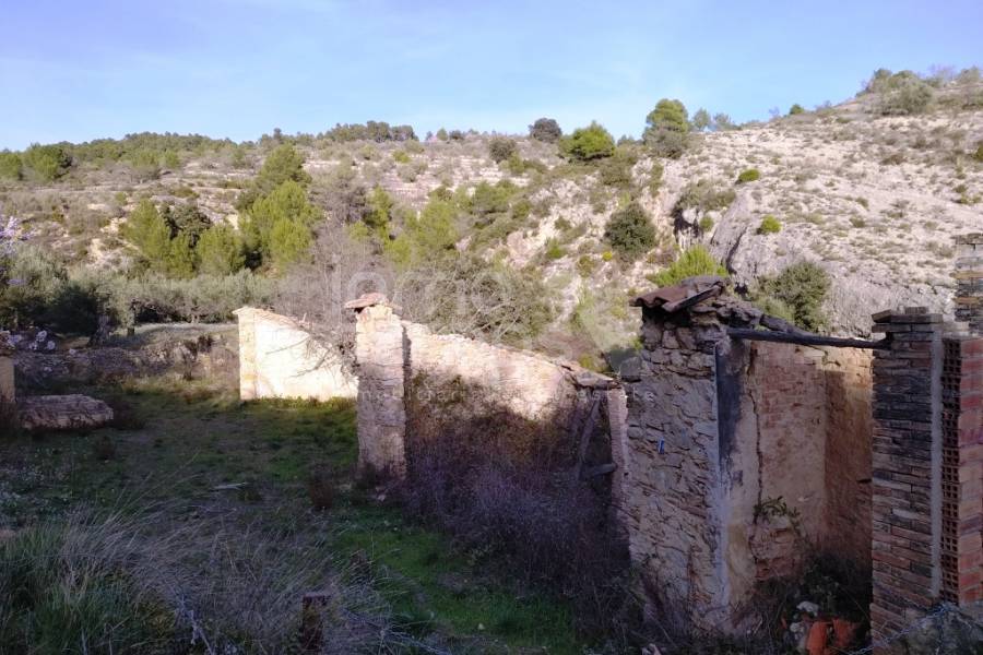 Te koop - Finca - Vall d'Alcalá - Vall D'Alcalá