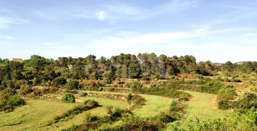 Venta - Finca - Penáguila