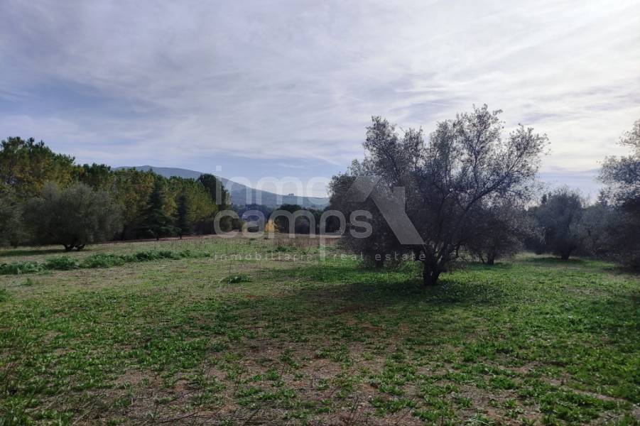 Venta - Casa de Campo - Muro de Alcoy