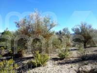 For sale - Rustic Land - Benimarfull