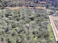 For sale - Finca - Alcoy