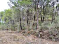 Venta - Casa de Campo - Planes