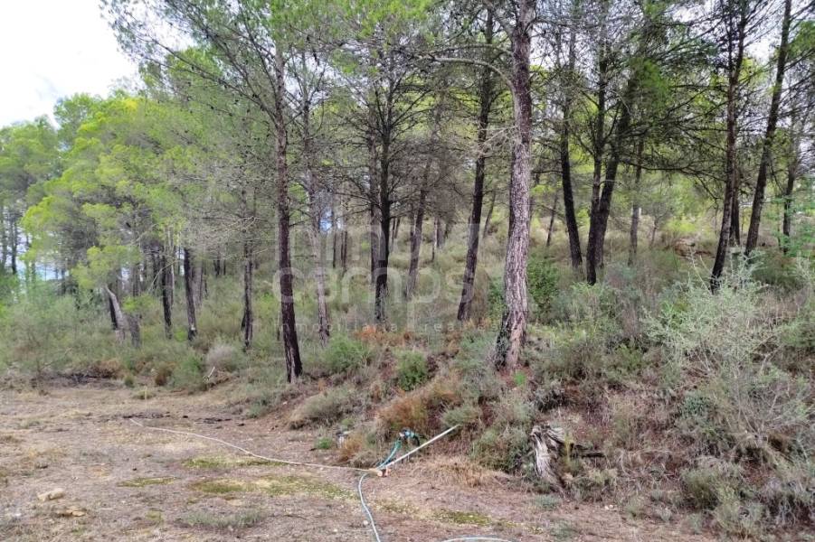 Venta - Casa de Campo - Planes