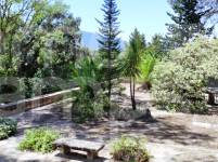 Te koop - Finca - Alcoy